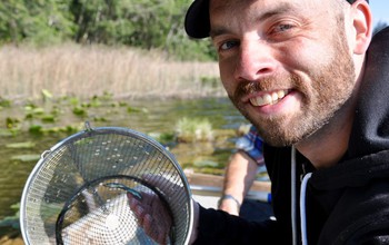 Researcher Michael White collecting threespine stickleback fish for research.